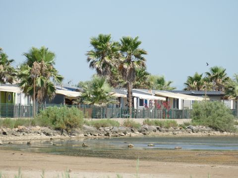 Camping Bleu Marine   - Camping Hérault - Image N°46