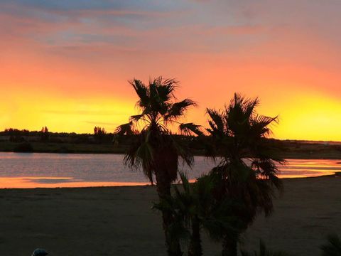 Camping Bleu Marine   - Camping Hérault - Image N°47