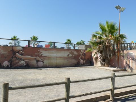 Camping Bleu Marine   - Camping Hérault - Image N°20