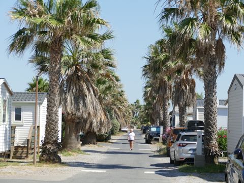 Camping Bleu Marine   - Camping Hérault - Image N°40