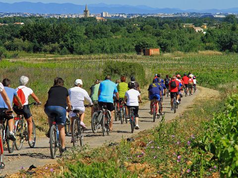 Camping Bleu Marine   - Camping Hérault - Image N°60