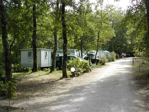 Camping La Vallée de Gardeleau - Camping Lot-et-Garonne - Image N°9