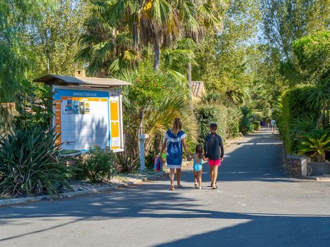 Camping l'Etoile de Mer Camping l'Etoile de Mer - Camping Hérault - Image N°40