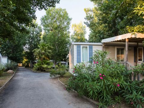 Camping l'Etoile de Mer Camping l'Etoile de Mer - Camping Hérault - Image N°38