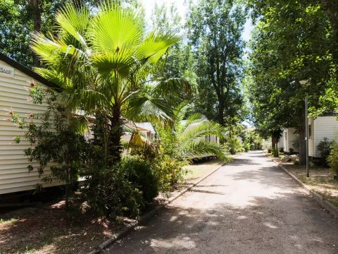 Camping l'Etoile de Mer Camping l'Etoile de Mer - Camping Hérault - Image N°36