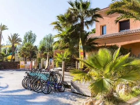 Camping l'Etoile de Mer Camping l'Etoile de Mer - Camping Hérault - Image N°31