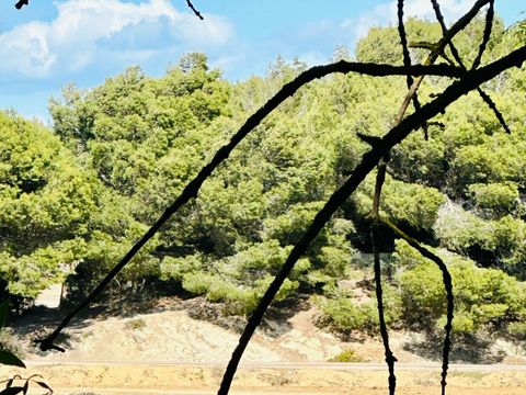 HÉBERGEMENT INSOLITE 5 personnes - LODGE PILOTIS PRIVILEGE - Vue Réserve Africaine