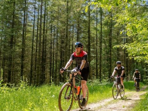 Arden Parks Signy l’Abbaye - Camping Ardennes - Image N°25