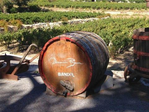 Camping la Roudeliere - Camping Var - Image N°18