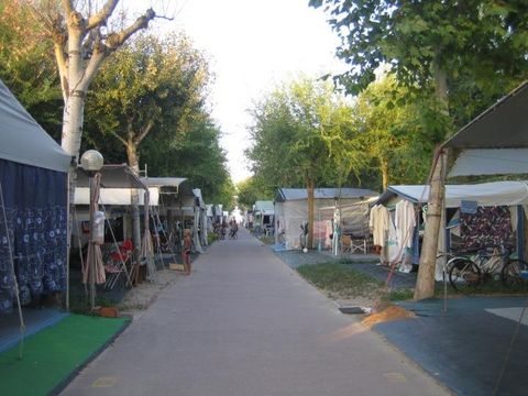 Emplacement - voiture + tente/caravane + électricité