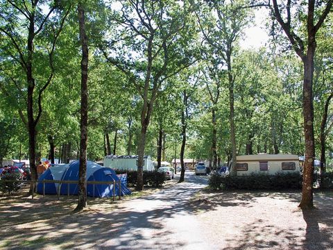 Camping Municipal Les Genêts - Camping Gironde - Image N°12
