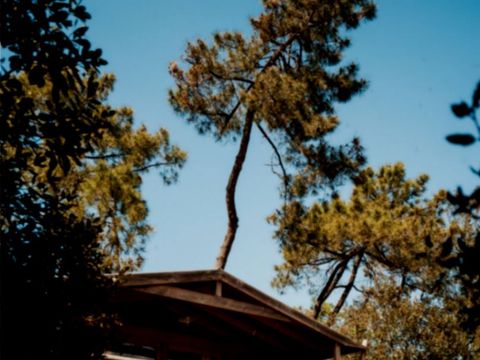 HÉBERGEMENT INSOLITE 5 personnes - Ecolodge Premium Sweet