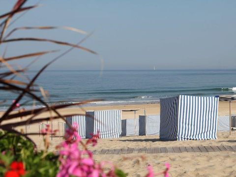 Nicoll's Camp/Pins - Camping Gironde - Image N°27
