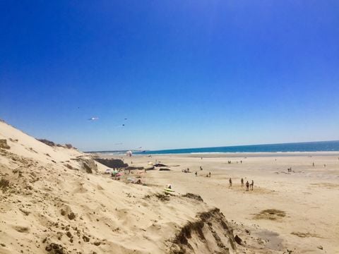 Nicoll's Camp/Pins - Camping Gironde - Image N°26