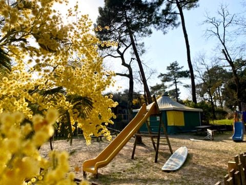  Camping des Pins  - Camping Gironde