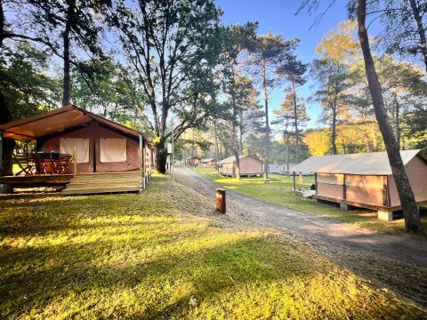 Bungalow toilé 5 personnes - Bungalow Toilé Luxe 3 Pièces 5 Personnes Sans Sanitaire PMR