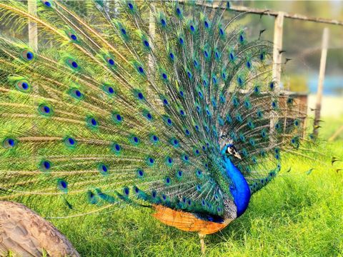 Camping Maeva Escapade Les Trois Sources - Camping Lot - Image N°20