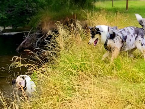 Camping Maeva Escapade Les Trois Sources - Camping Lot - Image N°33