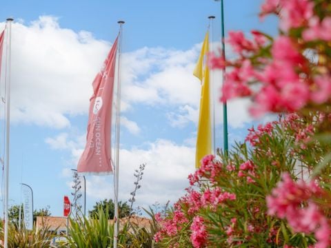 Camping maeva Escapades Sun Océan - Camping Vendée - Image N°40