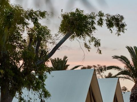 TENTE TOILE ET BOIS 4 personnes - Glamping Cabin-Tent Senyoret