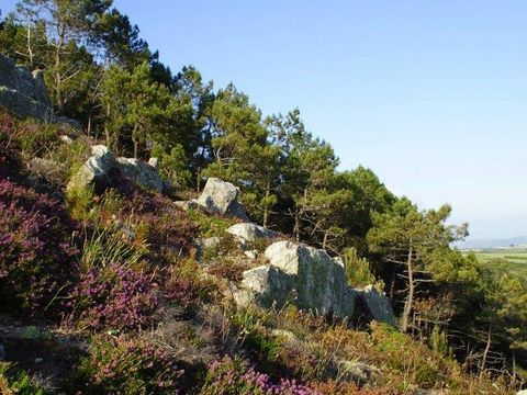 Camping Sites et Paysages - Le Panoramic  - Camping Finistere - Image N°34