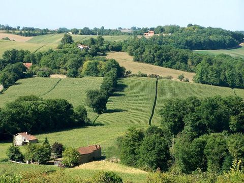 Camping Du Lac de Thoux - Ciela Village - Camping Gers - Image N°37
