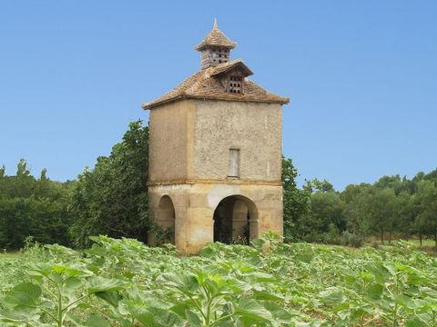 Camping Du Lac de Thoux - Ciela Village - Camping Gers - Image N°21