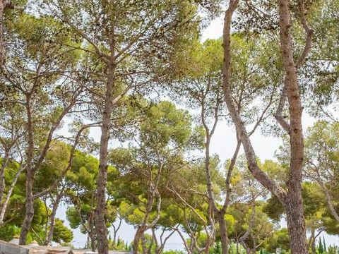 Camping Relax Sol - Camping Tarragone - Image N°22