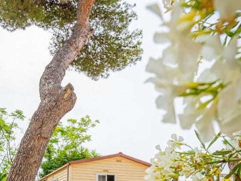 Camping Relax Sol - Camping Tarragone - Image N°6