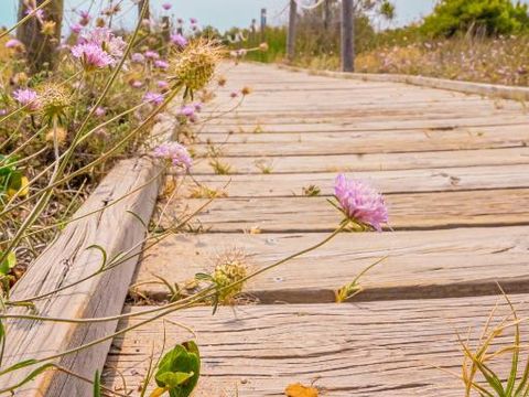 Camping Relax Sol - Camping Tarragone - Image N°9