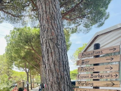 Camping Calypso - Camping Pyrénées-Orientales