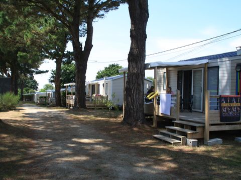 Camping Paradis Les Capucines - Camping Côtes-d'Armor - Image N°33