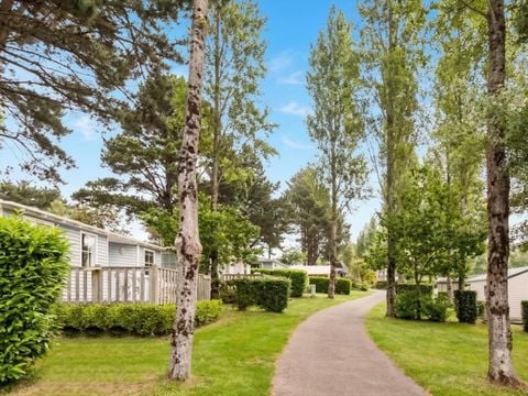 Camping Paradis Les Capucines - Camping Côtes-d'Armor - Image N°22