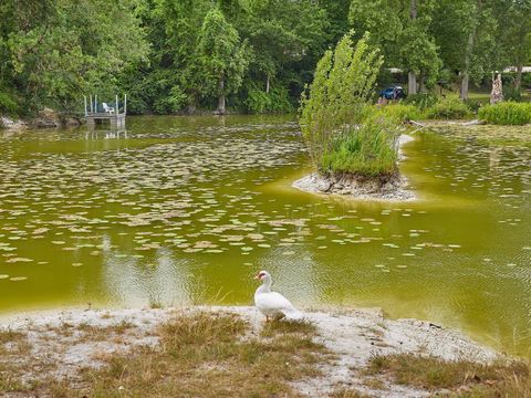 Camping Le Parc des Allais Camping Le Parc des Allais - Camping Indre-et-Loire - Image N°20