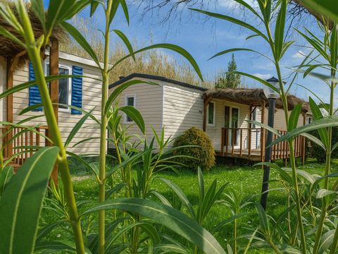 MOBILHOME 2 personnes - Mobil home Blue