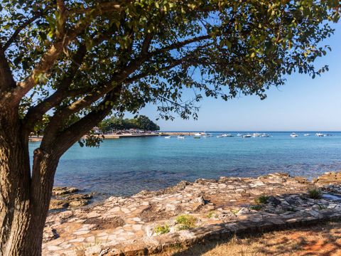 Camping Park Umag - Camping Istrie - Image N°21