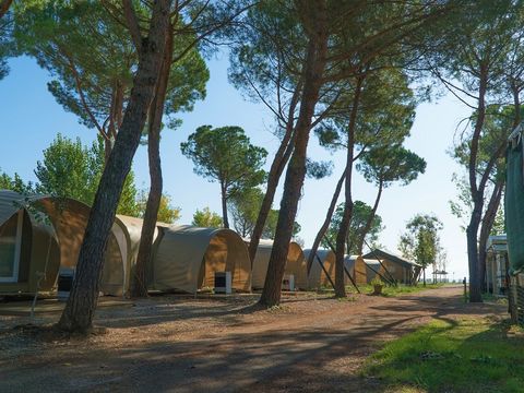 TENTE 4 personnes - Coco Sweet - sans sanitaires