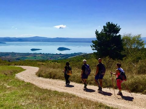 Camping Punta Navaccia  - Camping Pérouse - Image N°49