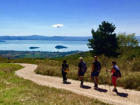 Camping Punta Navaccia  - Camping Pérouse - Image N°51
