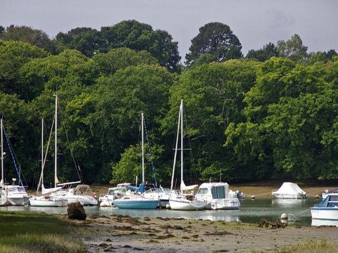 Flower Camping Le Conleau - Camping Morbihan - Image N°45