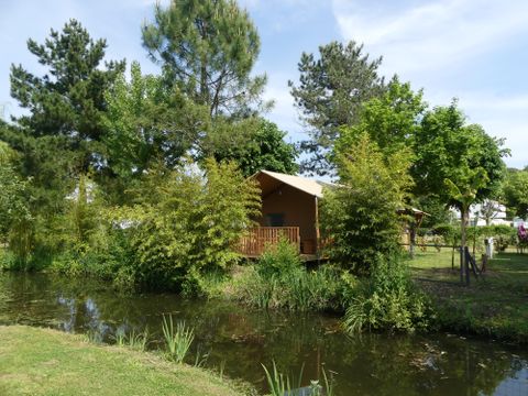 TENTE 6 personnes - Tente Woody PREMIUM
