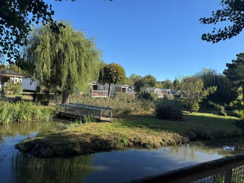 Flower Camping Le Nauzan Plage  - Camping Charente-Maritime - Image N°40