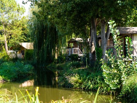 Flower Camping Le Nauzan Plage  - Camping Charente-Maritime - Image N°52