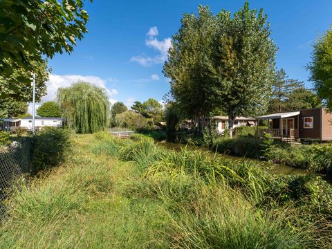 Flower Camping Le Nauzan Plage  - Camping Charente-Maritime - Image N°65
