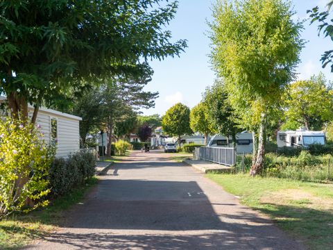 Flower Camping Le Nauzan Plage  - Camping Charente-Maritime - Image N°62