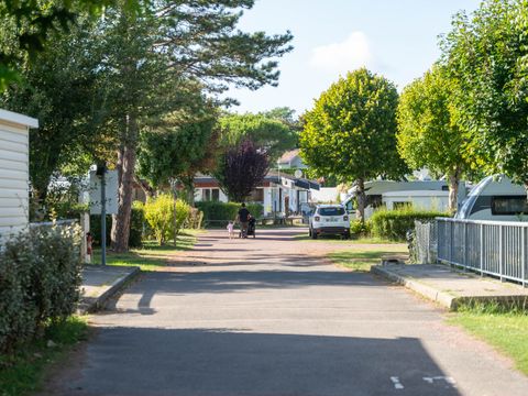 Flower Camping Le Nauzan Plage  - Camping Charente-Maritime - Image N°61