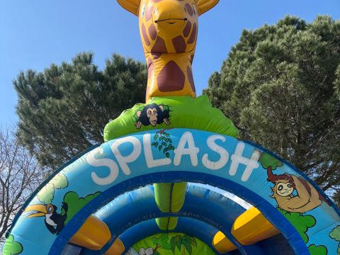 Flower Camping Le Mas de Mourgues - Camping Gard - Image N°22