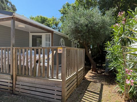 MOBILHOME 4 personnes - Mobil-Home OLIVIER Confort 29m² (2 chambres) - terrasse 9 m²+ TV + Climatisation 4 pers