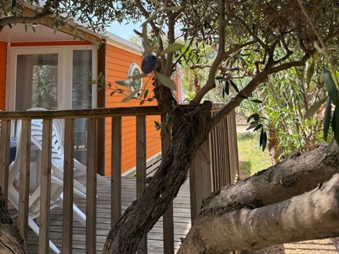 Flower Camping Le Mas de Mourgues - Camping Gard - Image N°25