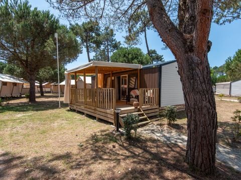 MOBILHOME 4 personnes - Olbia CONFORT Climatisé - Piéton.
